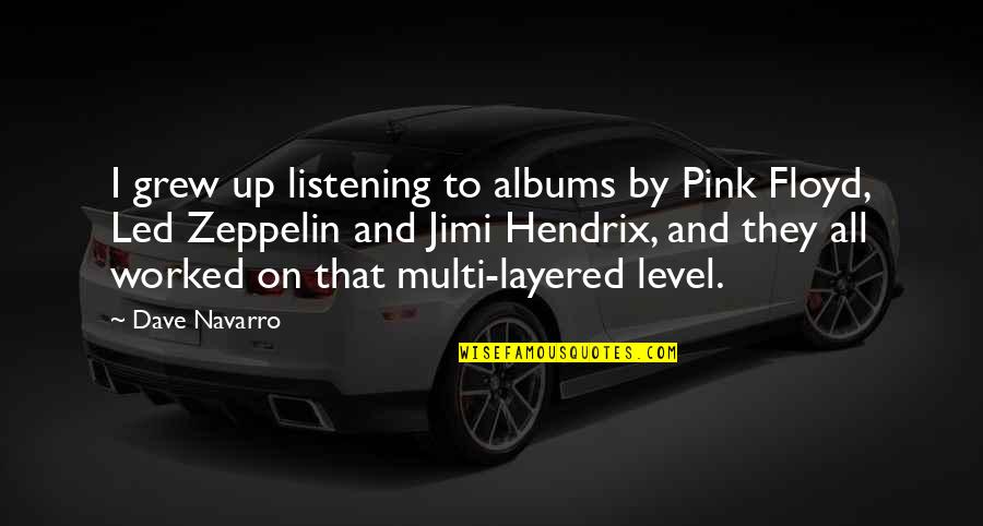 Led Zeppelin Quotes By Dave Navarro: I grew up listening to albums by Pink
