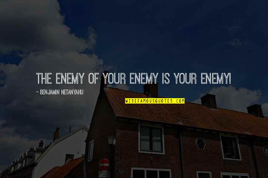 Ledia Sulaj Quotes By Benjamin Netanyahu: The enemy of your enemy is your enemy!