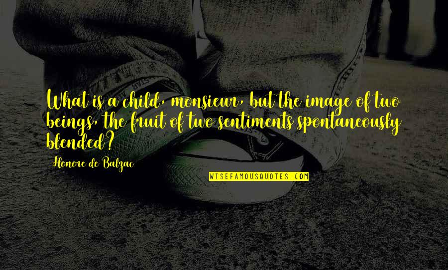 Lee Priest Quotes By Honore De Balzac: What is a child, monsieur, but the image