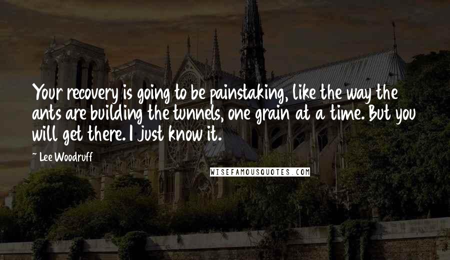 Lee Woodruff quotes: Your recovery is going to be painstaking, like the way the ants are building the tunnels, one grain at a time. But you will get there. I just know it.