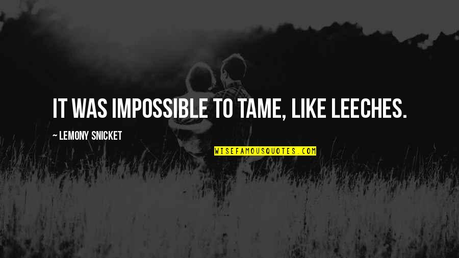 Leeches Quotes By Lemony Snicket: It was impossible to tame, like leeches.