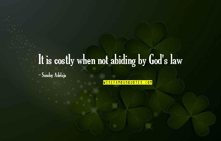 Leechy Lizard Quotes By Sunday Adelaja: It is costly when not abiding by God's