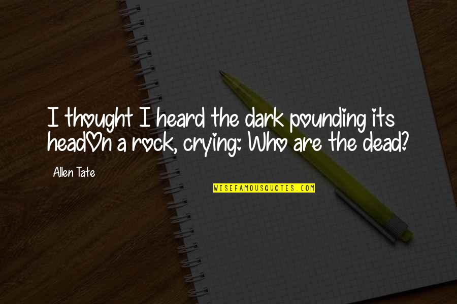 Leerlingportaal Quotes By Allen Tate: I thought I heard the dark pounding its