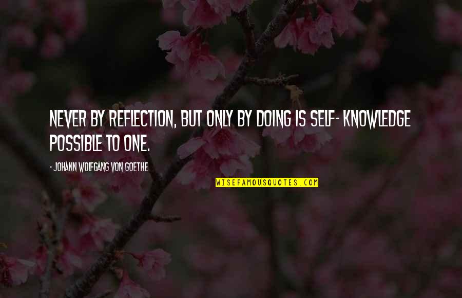 Leeroy Jenkins Video Quotes By Johann Wolfgang Von Goethe: Never by reflection, but only by doing is