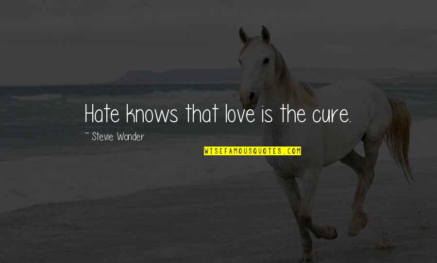 Leetle Quotes By Stevie Wonder: Hate knows that love is the cure.