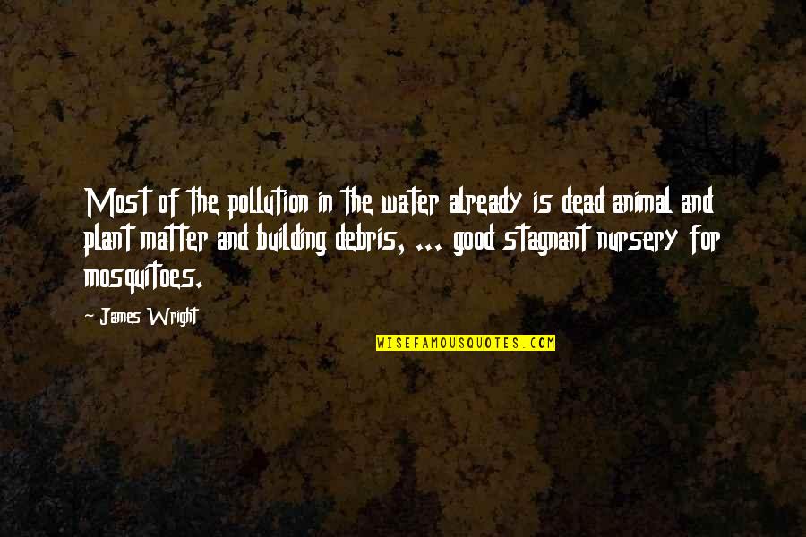 Lefcourt Colonial Building Quotes By James Wright: Most of the pollution in the water already Lefcourt Colonial Building Quotes By James Wright: Most of the pollution in the water already