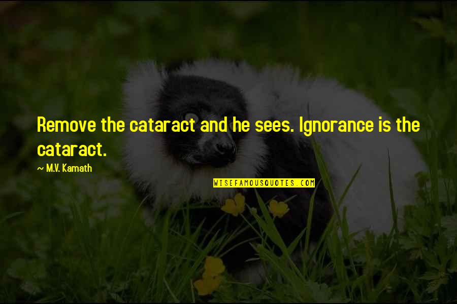 Leffeto Quotes By M.V. Kamath: Remove the cataract and he sees. Ignorance is