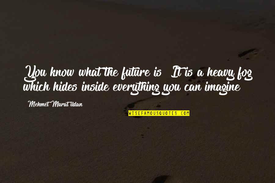 Lefkovitz Lefkovitz Quotes By Mehmet Murat Ildan: You know what the future is? It is Lefkovitz Lefkovitz Quotes By Mehmet Murat Ildan: You know what the future is? It is