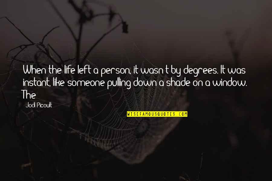Left By Someone Quotes By Jodi Picoult: When the life left a person, it wasn't