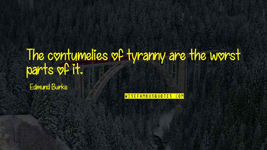 Lefty Lewis Quotes By Edmund Burke: The contumelies of tyranny are the worst parts Lefty Lewis Quotes By Edmund Burke: The contumelies of tyranny are the worst parts