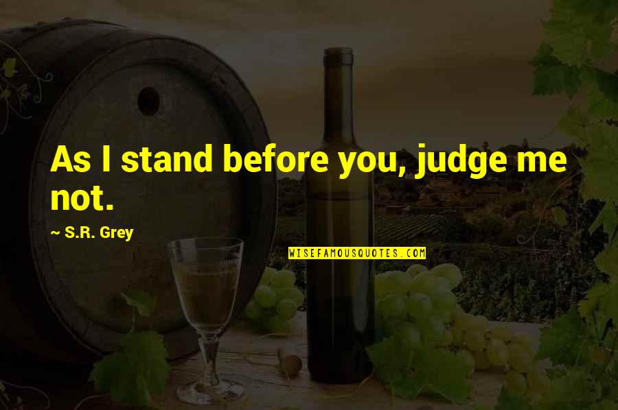 Legend Of The Guardians Echidna Quotes By S.R. Grey: As I stand before you, judge me not. Legend Of The Guardians Echidna Quotes By S.R. Grey: As I stand before you, judge me not.