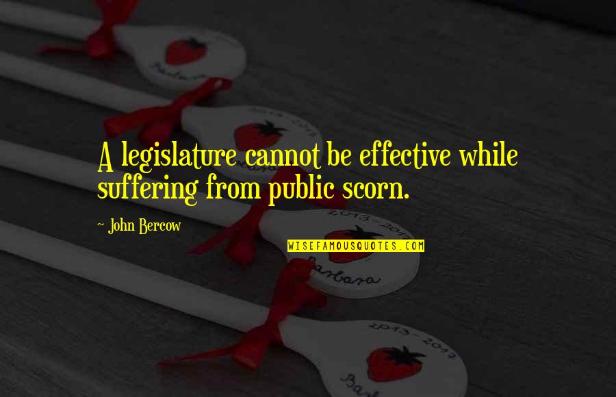Legislature Quotes By John Bercow: A legislature cannot be effective while suffering from