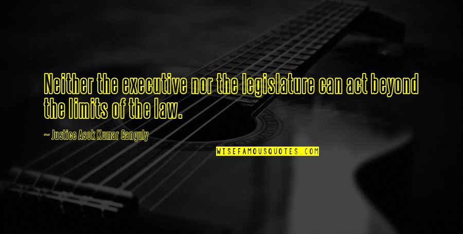 Legislature Quotes By Justice Asok Kumar Ganguly: Neither the executive nor the legislature can act