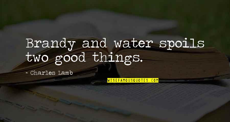 Legitimized Power Quotes By Charles Lamb: Brandy and water spoils two good things.