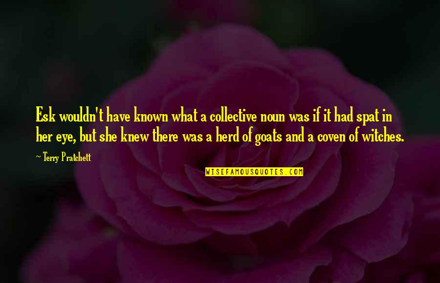 Lehigh Quotes By Terry Pratchett: Esk wouldn't have known what a collective noun Lehigh Quotes By Terry Pratchett: Esk wouldn't have known what a collective noun