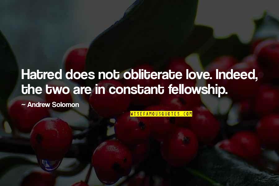 Lehoczki Bernadett Quotes By Andrew Solomon: Hatred does not obliterate love. Indeed, the two