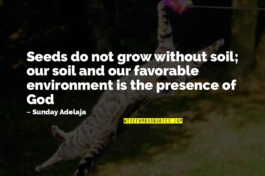 Lehoczky G Bor Quotes By Sunday Adelaja: Seeds do not grow without soil; our soil