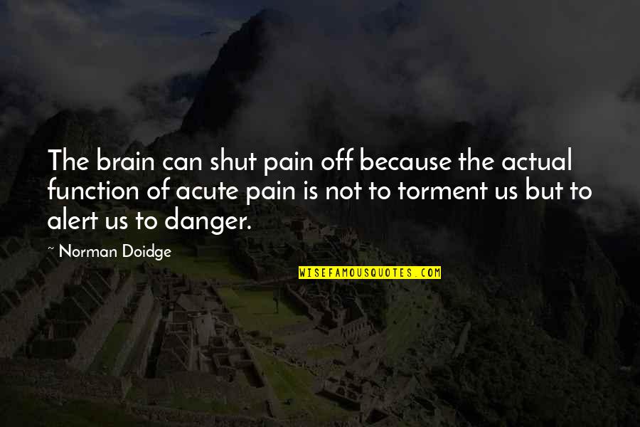 Leiband Quotes By Norman Doidge: The brain can shut pain off because the