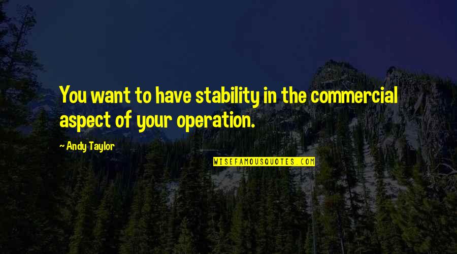 Leibnitz Quotes By Andy Taylor: You want to have stability in the commercial