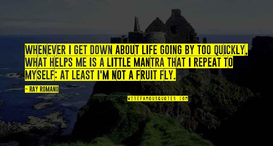 Leidels Apples Quotes By Ray Romano: Whenever I get down about life going by