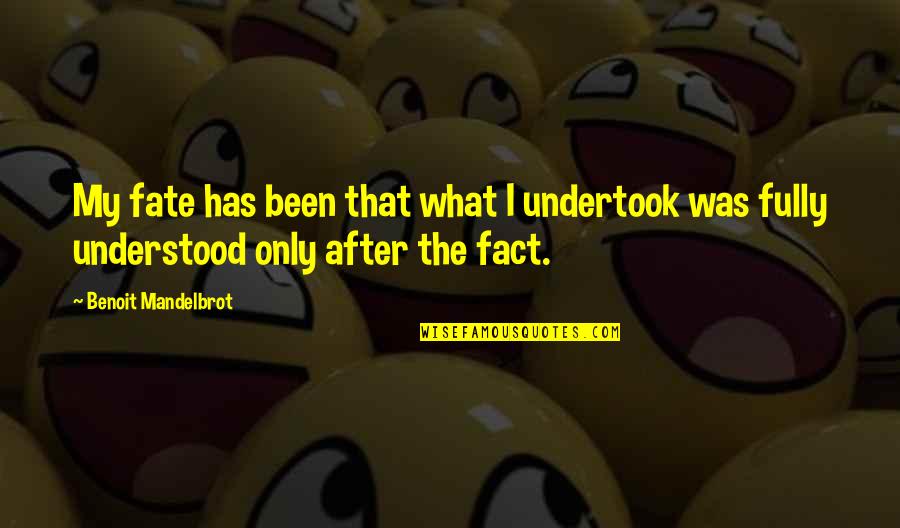 Leidensplein Quotes By Benoit Mandelbrot: My fate has been that what I undertook Leidensplein Quotes By Benoit Mandelbrot: My fate has been that what I undertook