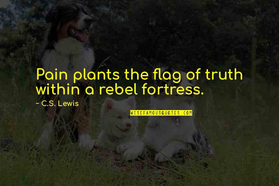 Leidys Marzo Quotes By C.S. Lewis: Pain plants the flag of truth within a