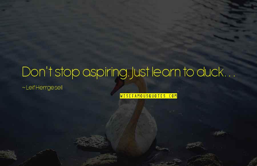 Leif Quotes By Leif Herrgesell: Don't stop aspiring. Just learn to duck. .