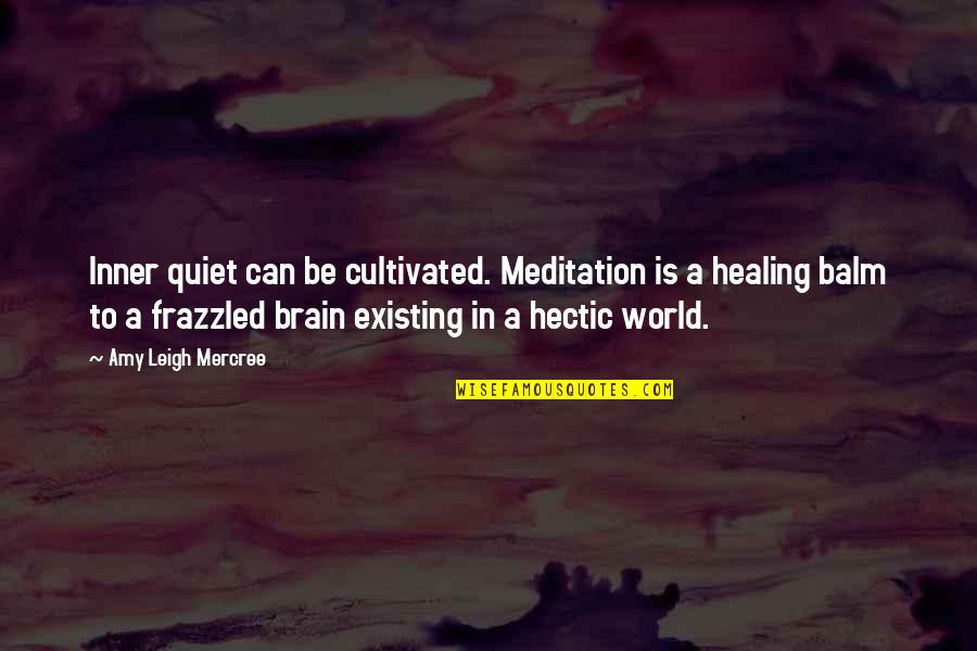 Leigh Quotes By Amy Leigh Mercree: Inner quiet can be cultivated. Meditation is a