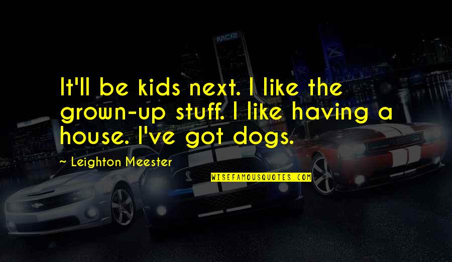 Leighton Quotes By Leighton Meester: It'll be kids next. I like the grown-up