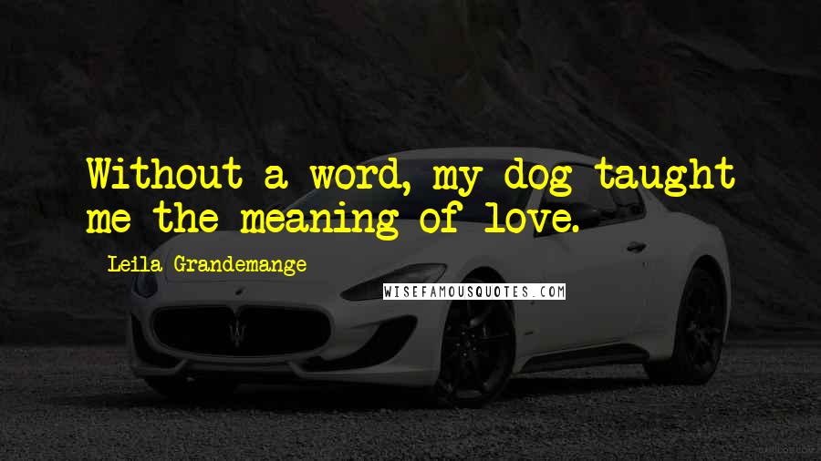 Leila Grandemange quotes: Without a word, my dog taught me the meaning of love.