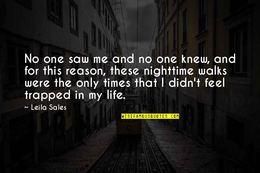 Leila Sales Quotes By Leila Sales: No one saw me and no one knew,