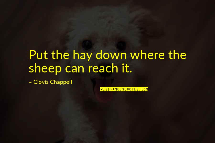 Leiloes Quotes By Clovis Chappell: Put the hay down where the sheep can