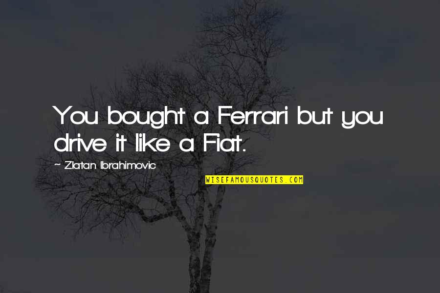 Leinahtan Quotes By Zlatan Ibrahimovic: You bought a Ferrari but you drive it