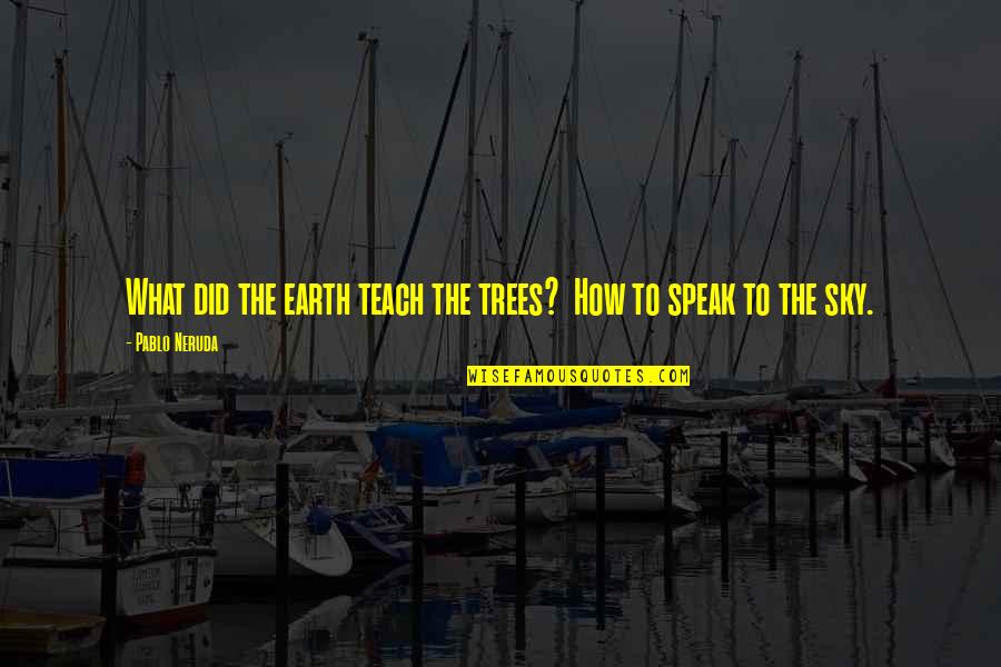Leirint Alue Quotes By Pablo Neruda: What did the earth teach the trees? How