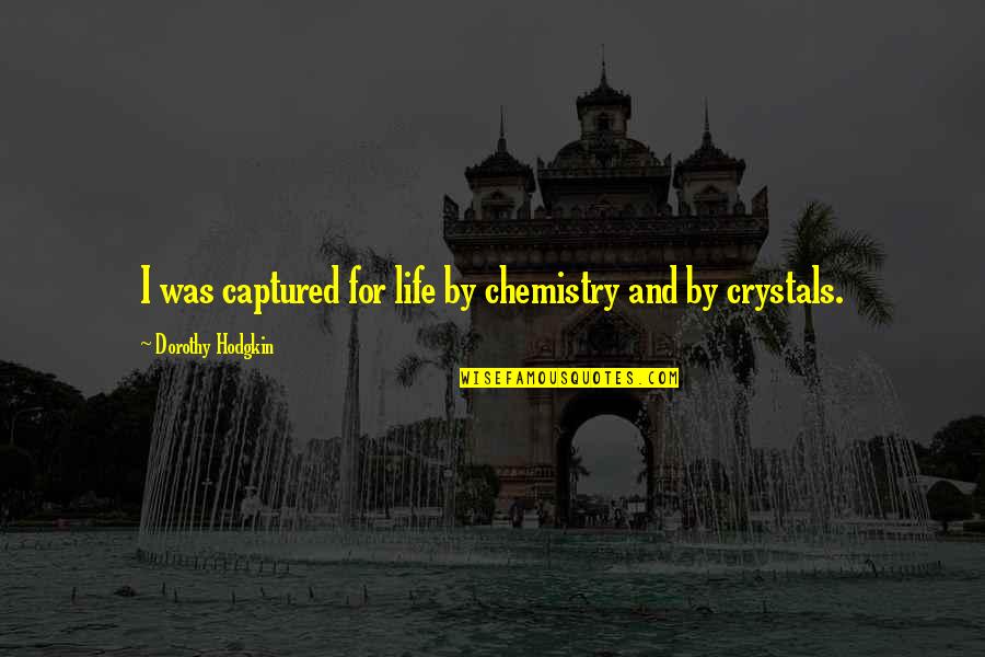 Leistungsdiagnostik Quotes By Dorothy Hodgkin: I was captured for life by chemistry and