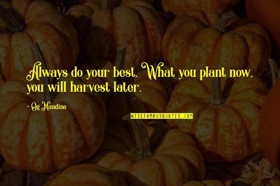 Leisure By William Davies Quotes By Og Mandino: Always do your best. What you plant now,