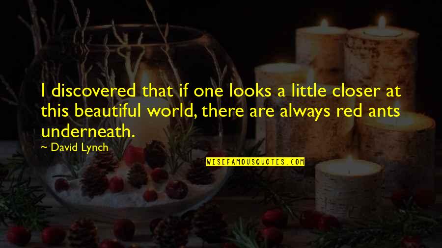 Leita Thompson Quotes By David Lynch: I discovered that if one looks a little