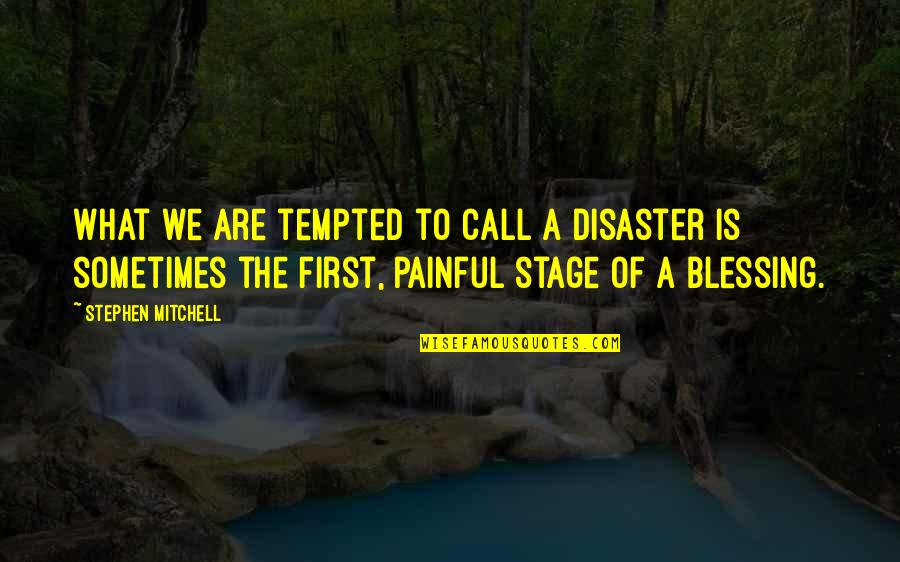 Leiyang Quotes By Stephen Mitchell: What we are tempted to call a disaster