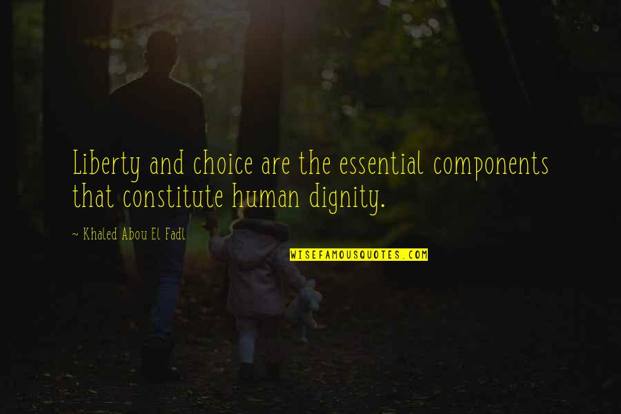 Lekkerkerker Dairy Quotes By Khaled Abou El Fadl: Liberty and choice are the essential components that