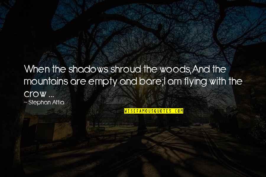 Lekt Re Quotes By Stephan Attia: When the shadows shroud the woods,And the mountains