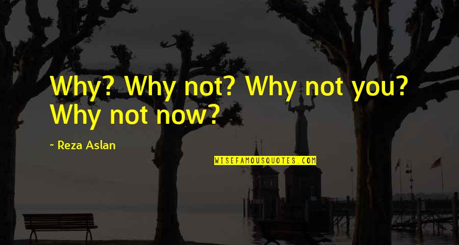 Lembcke Karl Quotes By Reza Aslan: Why? Why not? Why not you? Why not