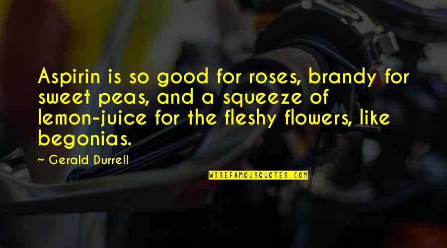 Lemon Squeeze Quotes By Gerald Durrell: Aspirin is so good for roses, brandy for