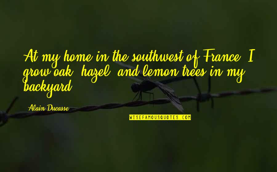 Lemon Trees Quotes By Alain Ducasse: At my home in the southwest of France,