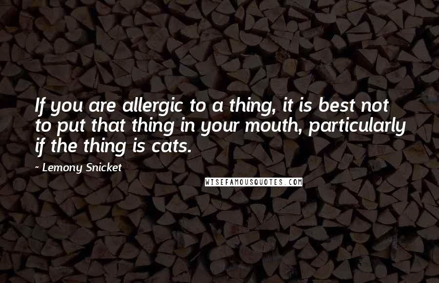 Lemony Snicket quotes: If you are allergic to a thing, it is best not to put that thing in your mouth, particularly if the thing is cats.