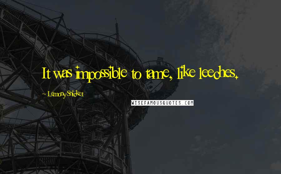 Lemony Snicket quotes: It was impossible to tame, like leeches.