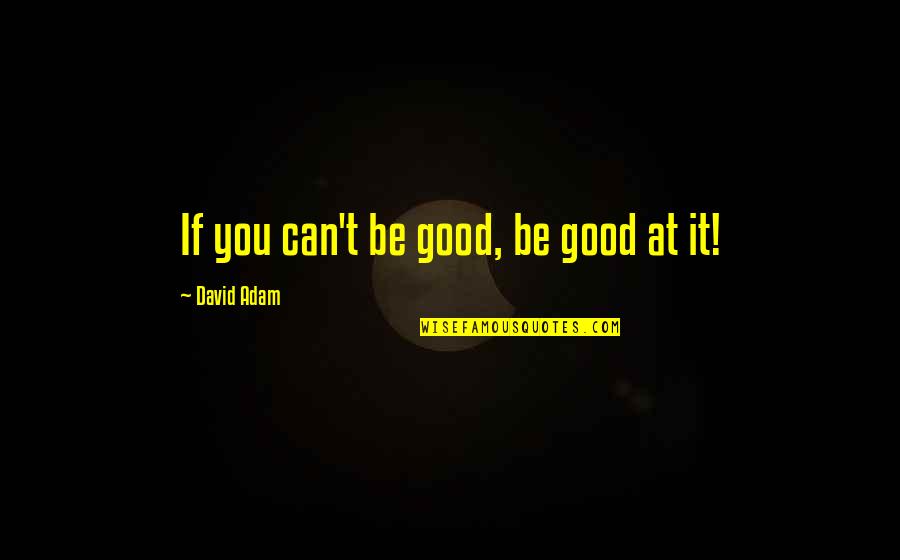 Lenchner Glass Quotes By David Adam: If you can't be good, be good at