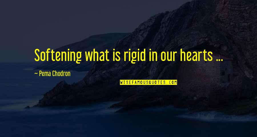 Lencinho De Lapela Quotes By Pema Chodron: Softening what is rigid in our hearts ...