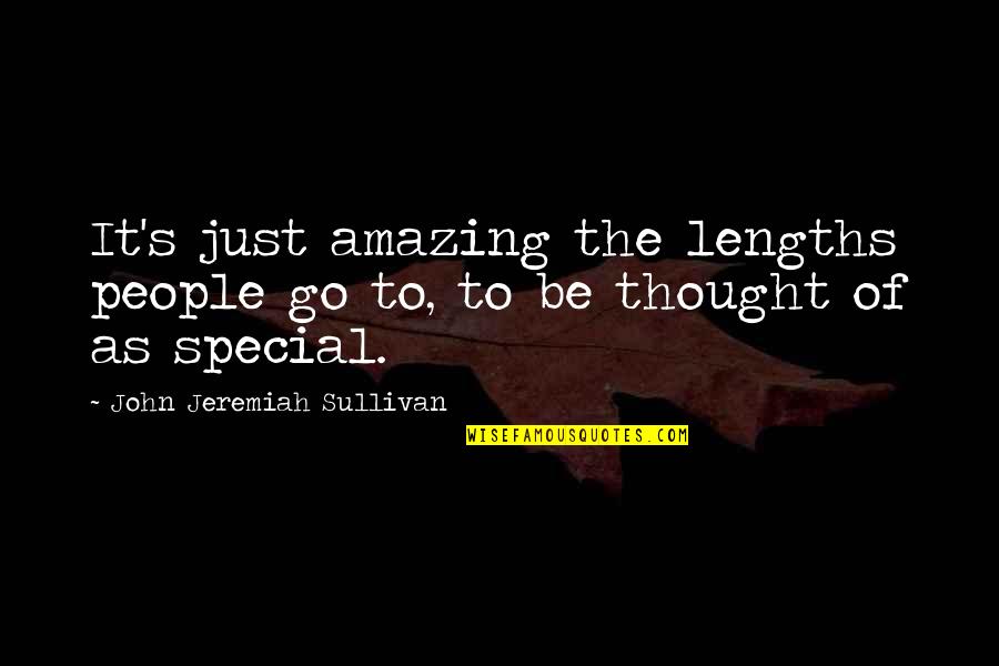 Lengths Quotes By John Jeremiah Sullivan: It's just amazing the lengths people go to,