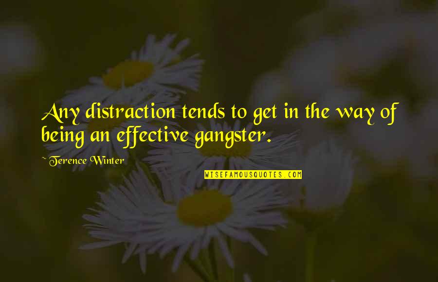 Leningrad Cowboys Quotes By Terence Winter: Any distraction tends to get in the way