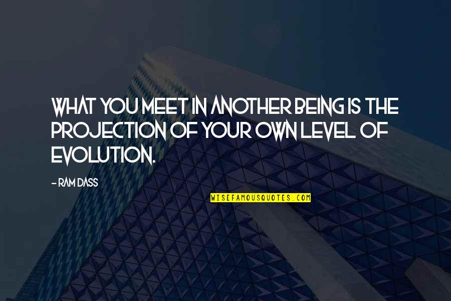 Leningrad Siege Quotes By Ram Dass: What you meet in another being is the